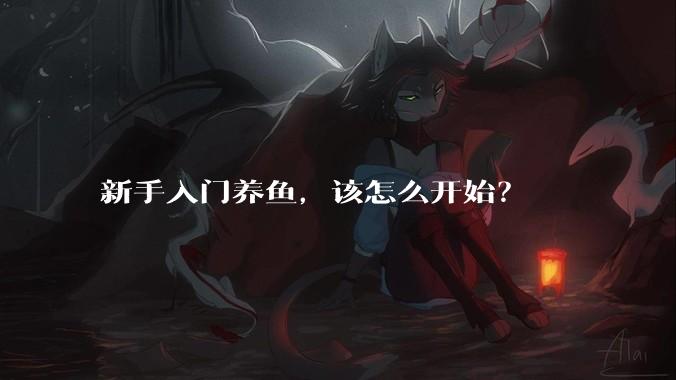 新手入门养鱼，该怎么开始？
