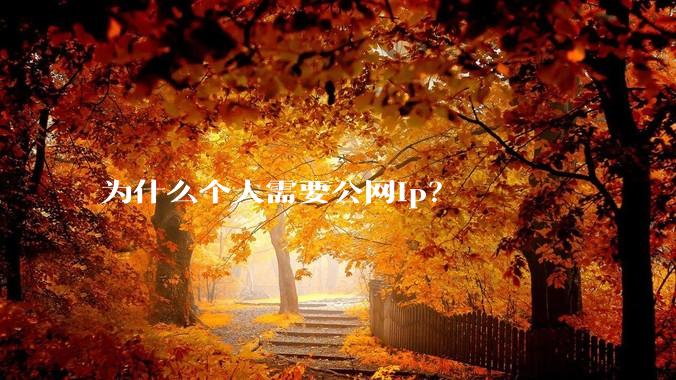 为什么个人需要公网ip？
