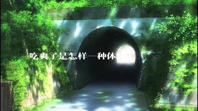 吃爽了是怎样一种体验？