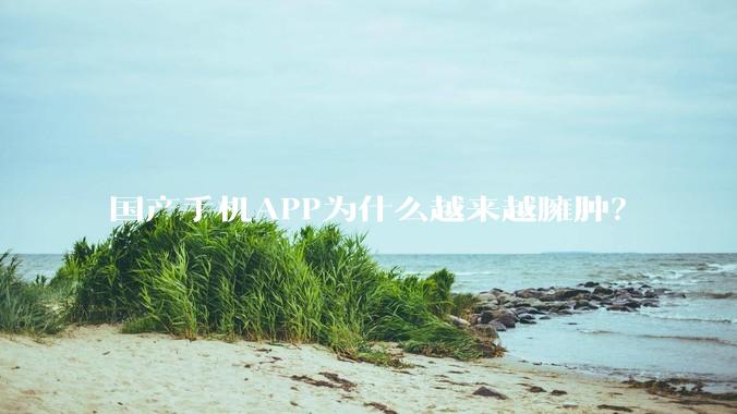国产手机APP为什么越来越臃肿？