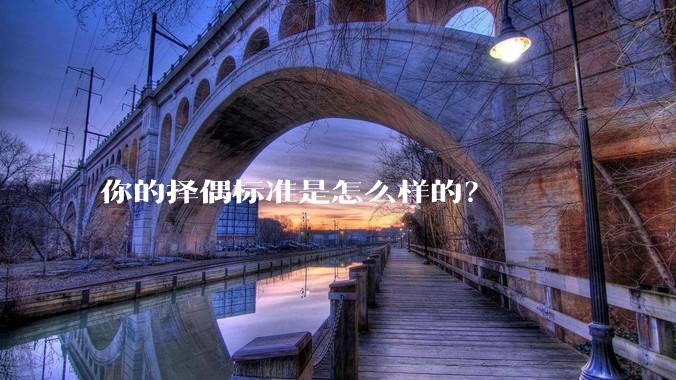 你的择偶标准是怎么样的？