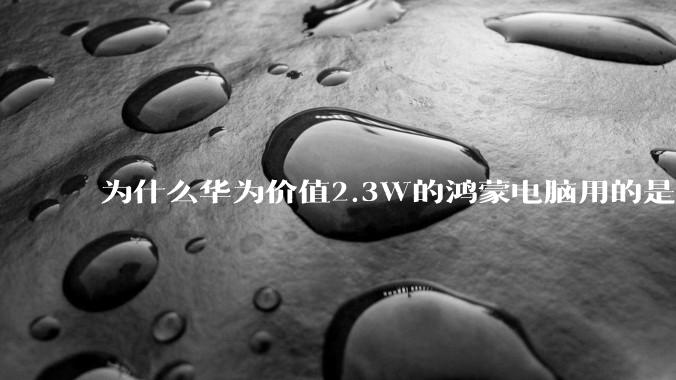 为什么华为价值2.3W的鸿蒙电脑用的是美国西数的SN740固态硬盘？