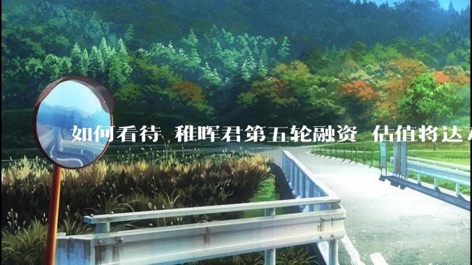 如何看待 稚晖君第五轮融资 估值将达70亿？
