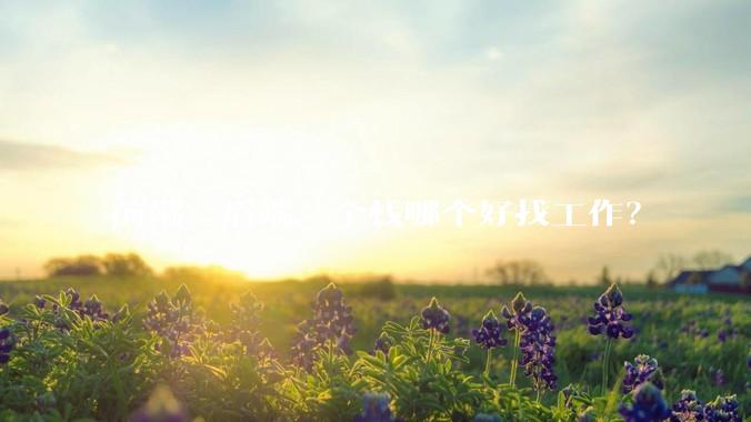 前端，后端，全栈哪个好找工作？