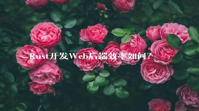 Rust开发Web后端效率如何？