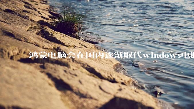 鸿蒙电脑会在国内逐渐取代windows电脑吗？