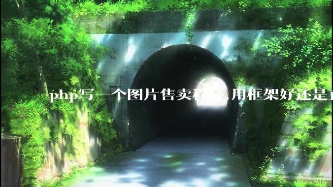 php写一个图片售卖程序,用框架好还是直接写好?