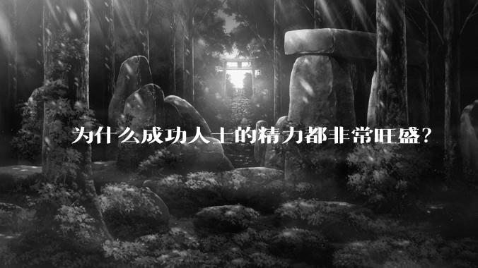 为什么成功人士的精力都非常旺盛？