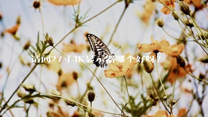 请问27寸4K显示器哪个好呀？