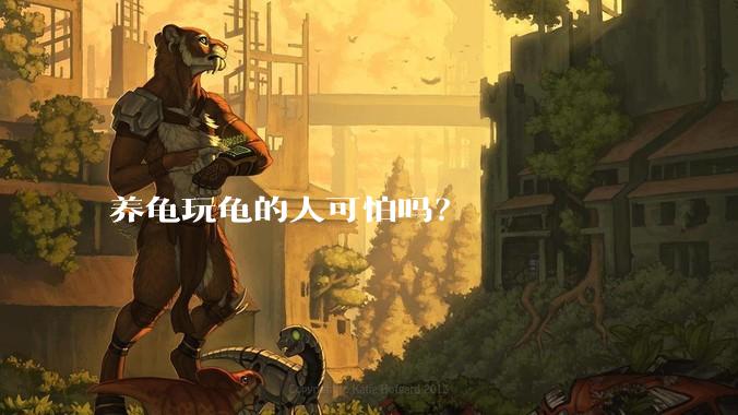 养龟玩龟的人可怕吗？