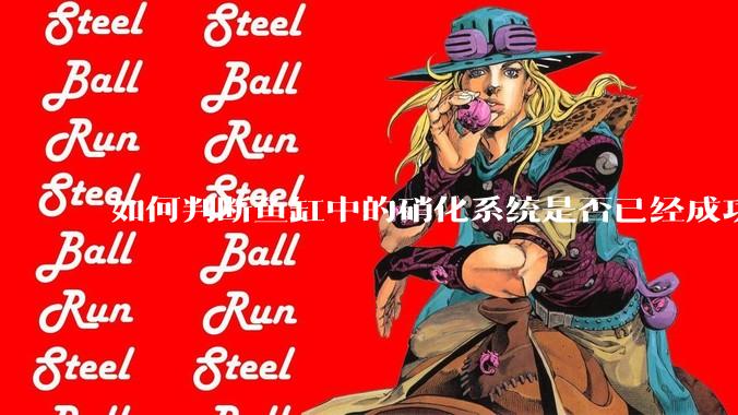 如何判断鱼缸中的硝化系统是否已经成功建立？