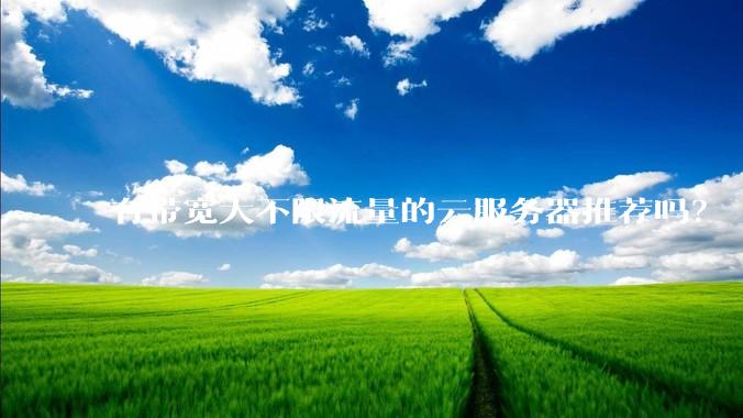有带宽大不限流量的云服务器推荐吗？
