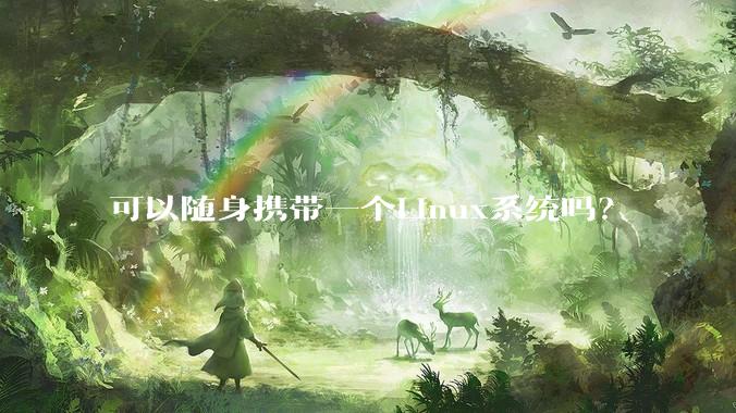 可以随身携带一个Linux系统吗？