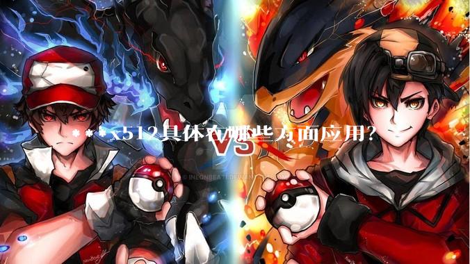 ***x512具体在哪些方面应用？