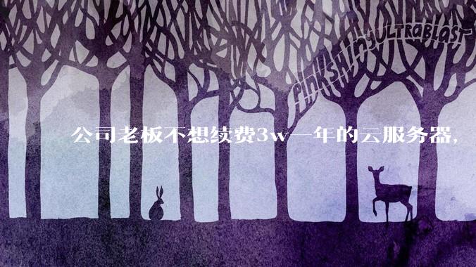 公司老板不想续费3w一年的云服务器，合理吗？